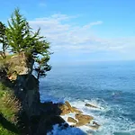 The Island