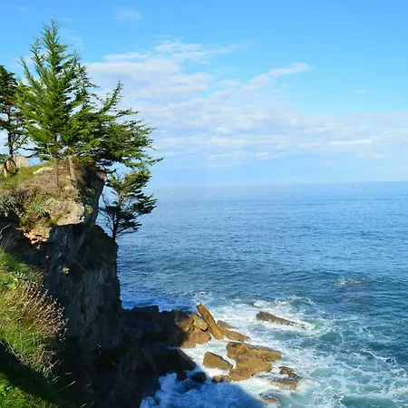 The Island